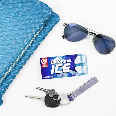 Dentyne Ice Sugar Free Peppermint Gum, 16 Pieces/Pack, 9 Packs/Box (VAM05111)