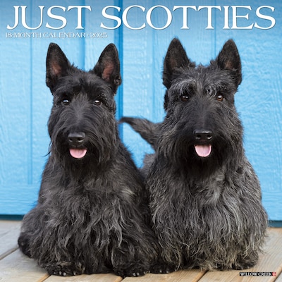 2025 Willow Creek Scotties 12 x 12 Monthly Wall Calendar (44773)