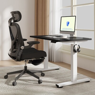 FlexiSpot E2 42''W Electric Adjustable Standing Desk, Black/White (E2W4224B)