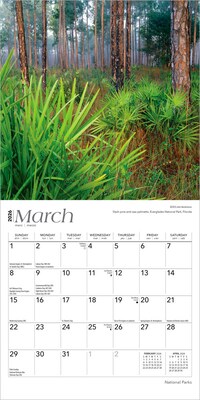 2026 BrownTrout National Parks 7" x 7" Monthly Wall Calendar (9798330704781)