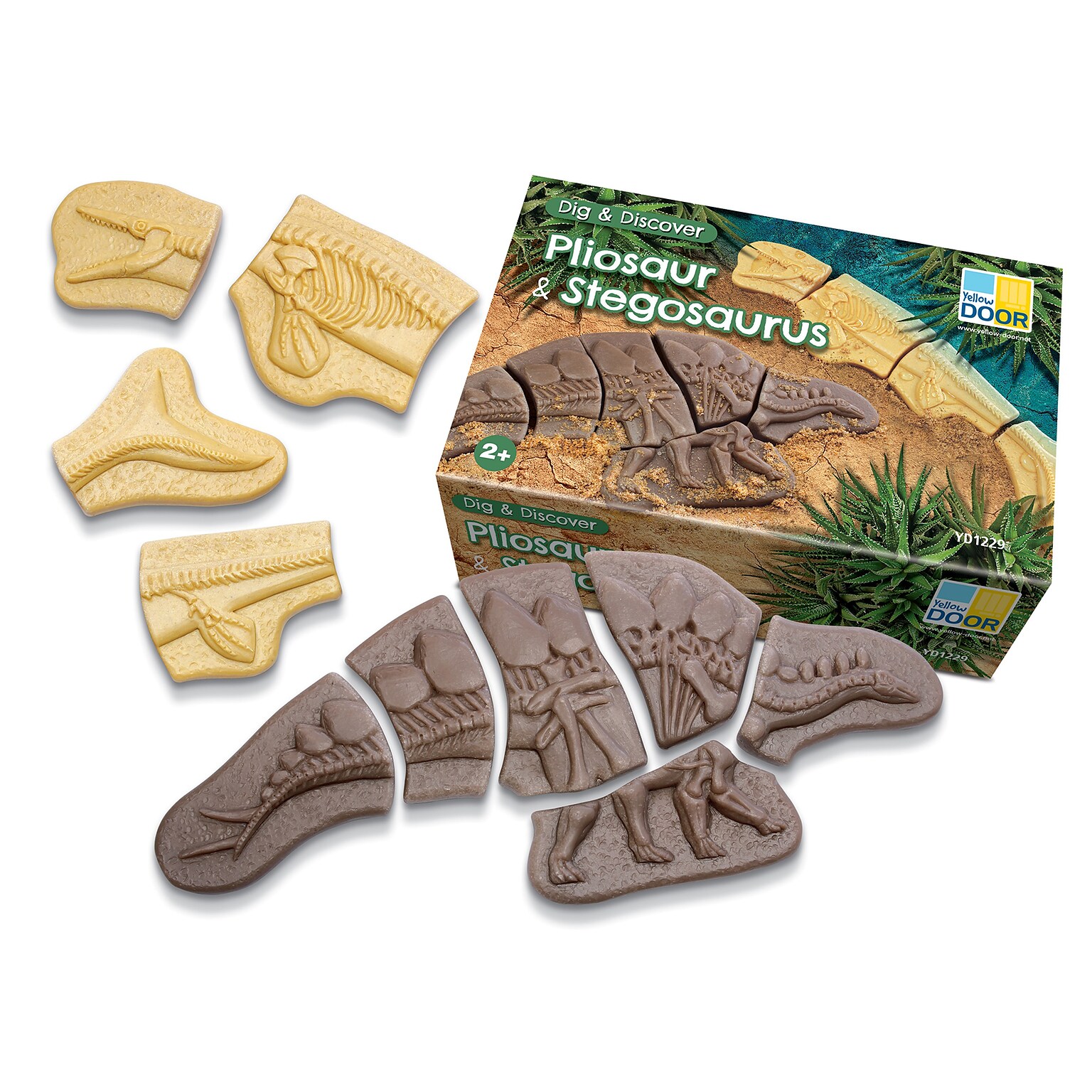 Yellow Door Dig and Discover Pliosaur & Stegosaurus, Assorted Colors, 10/Set (YUS1229)
