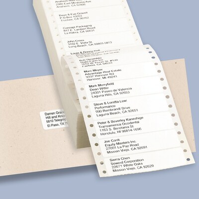 Avery Pin-Fed Continuous Form Computer Labels, 15/16" x 3 1/2", White, 1 Label Across, 4 1/4" Carrier, 5,000 Labels/Box (4013)