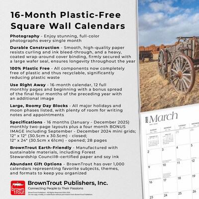 2025 BrownTrout Land of Enchantment New Mexico Places 12" x 24" Monthly Square Wall Calendar (9781975483029)