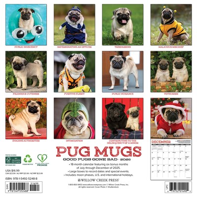 2026 Willow Creek Pug Mugs 12 x 12 Monthly Wall Calendar (52488)