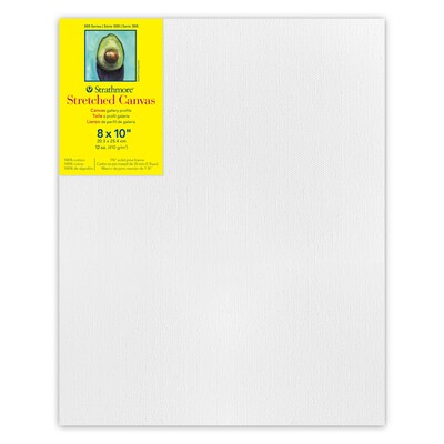 Strathmore 300 Series Primed Gallery Stretched Canvas, 8x10 inch, Pack of 3 (STT31408-3)