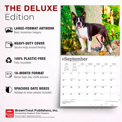 2027 BrownTrout For the Love of Boston Terriers 14" x 12" Monthly Wall Calendar, Assorted Colors (9798330714667)