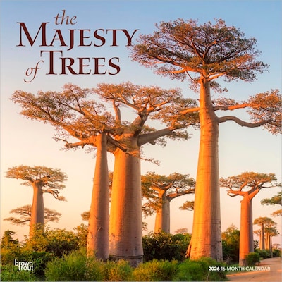 2026 BrownTrout The Majesty of Trees 12 x 12 Monthly Wall Calendar (9798330704491)