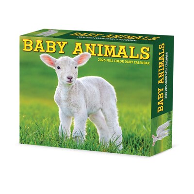 2026 Willow Creek Baby Animals 6.2" x 5.4" Day-to-Day Calendar (53928)