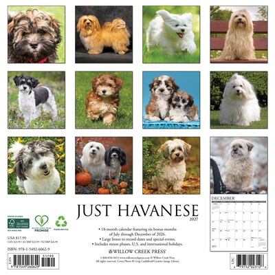 2027 Willow Creek Havanese  12 x 12 Monthly Wall Calendar (60629)