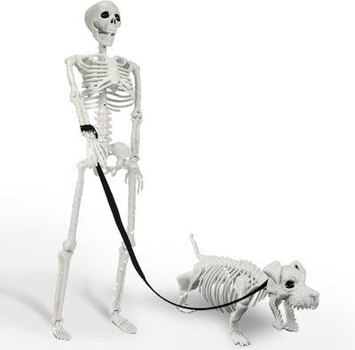 Human & Dog Skeleton Décor