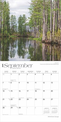 2025 BrownTrout Georgia Wild & Scenic 12" x 12" Monthly Square Wall Calendar (9781975474836)