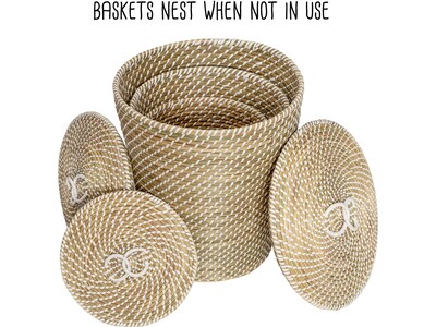 Honey-Can-Do Seagrass Snake Charmer's Nesting Baskets, Natural/White, 3/Set (STO-08750)