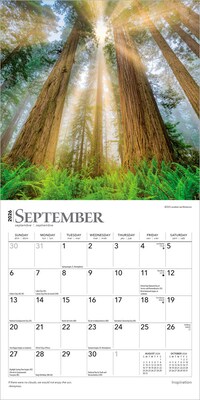 2026 BrownTrout Inspiration 7" x 7" Monthly Wall Calendar (9798330703890)