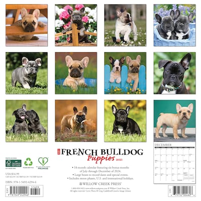2025 Willow Creek Just French Bulldog Puppies 12 x 12 Monthly Wall Calendar (42946)