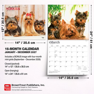 2027 BrownTrout For the Love of Yorkshire Terriers 14" x 12" Monthly Wall Calendar, Assorted Colors (9798330709281)