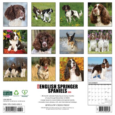 2025 Willow Creek Just English Springer Spaniels 12 x 12 Monthly Wall Calendar (42823)