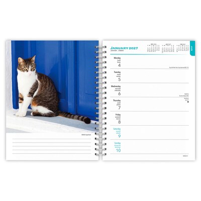 2027 BrownTrout Cat Lovers 6.5" x 7.8" Calendar Year Weekly Standard Planner, Multicolor (9798330709427)
