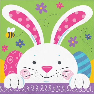 Say Hooray! Bunny Bliss Easter Disposable Paper Plates and Napkins Set, 48/Pack (DTC9626E2G)
