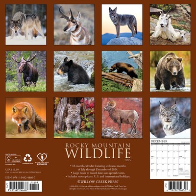 2025 Willow Creek Rocky Mountain Wildlife 12 x 12 Monthly Wall Calendar (44667)