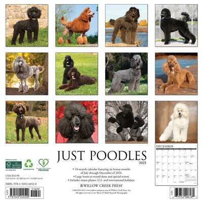 2025 Willow Creek Just Poodles 12 x 12 Monthly Wall Calendar (44520)