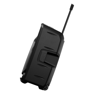 ION Total PA Ultimate Bluetooth PA Speaker System, Black (IONIPA161)