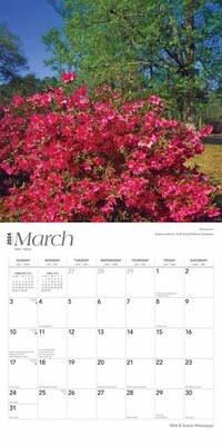 2024 BrownTrout Mississippi Wild & Scenic 12" x 24" Monthly Wall Calendar (9781975464004)