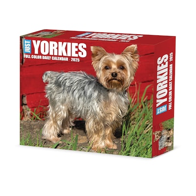 2025 Willow Creek Yorkies 6 x 5.5 Day-to-Day Calendar (41130)