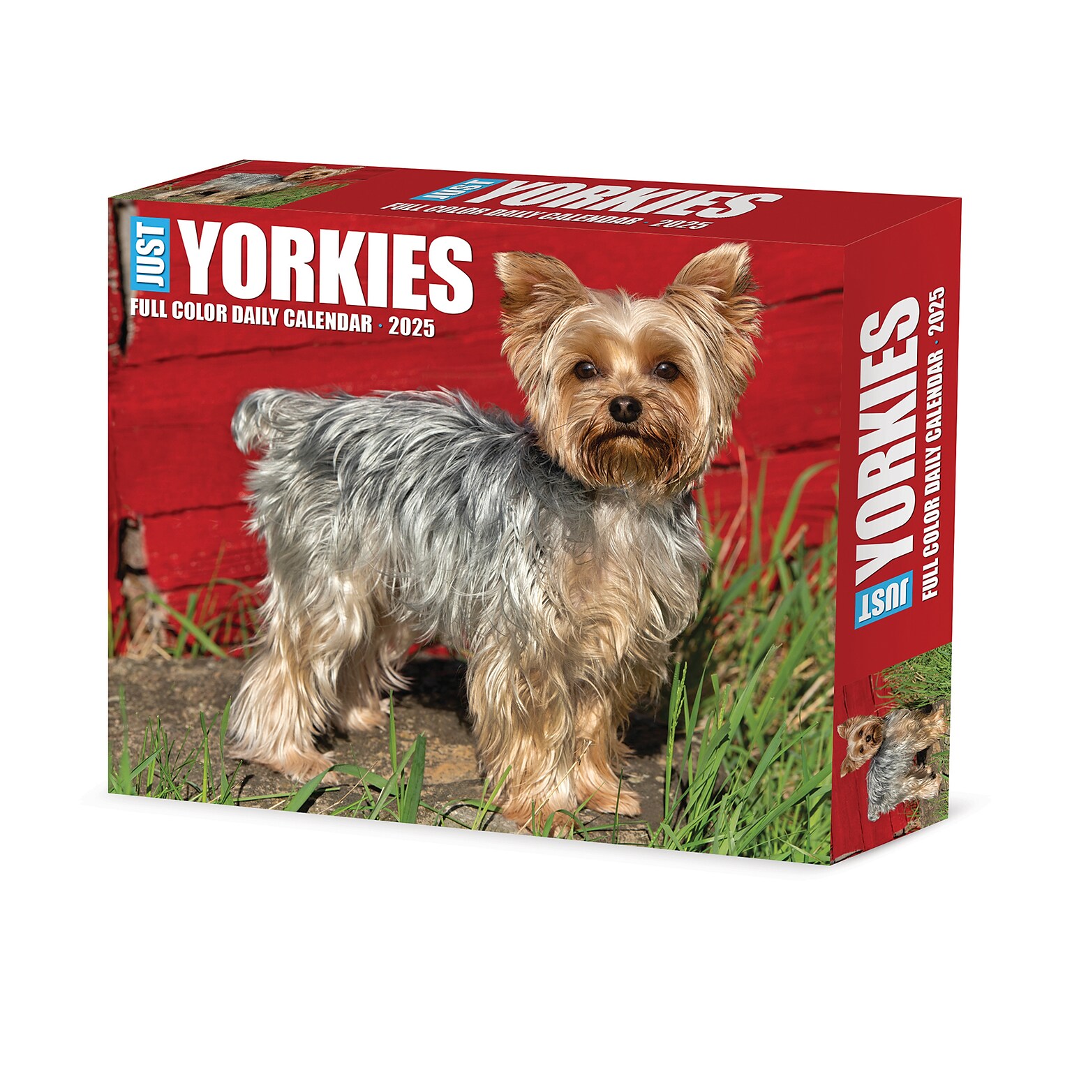 2025 Willow Creek Yorkies 6 x 5.5 Day-to-Day Calendar (41130)