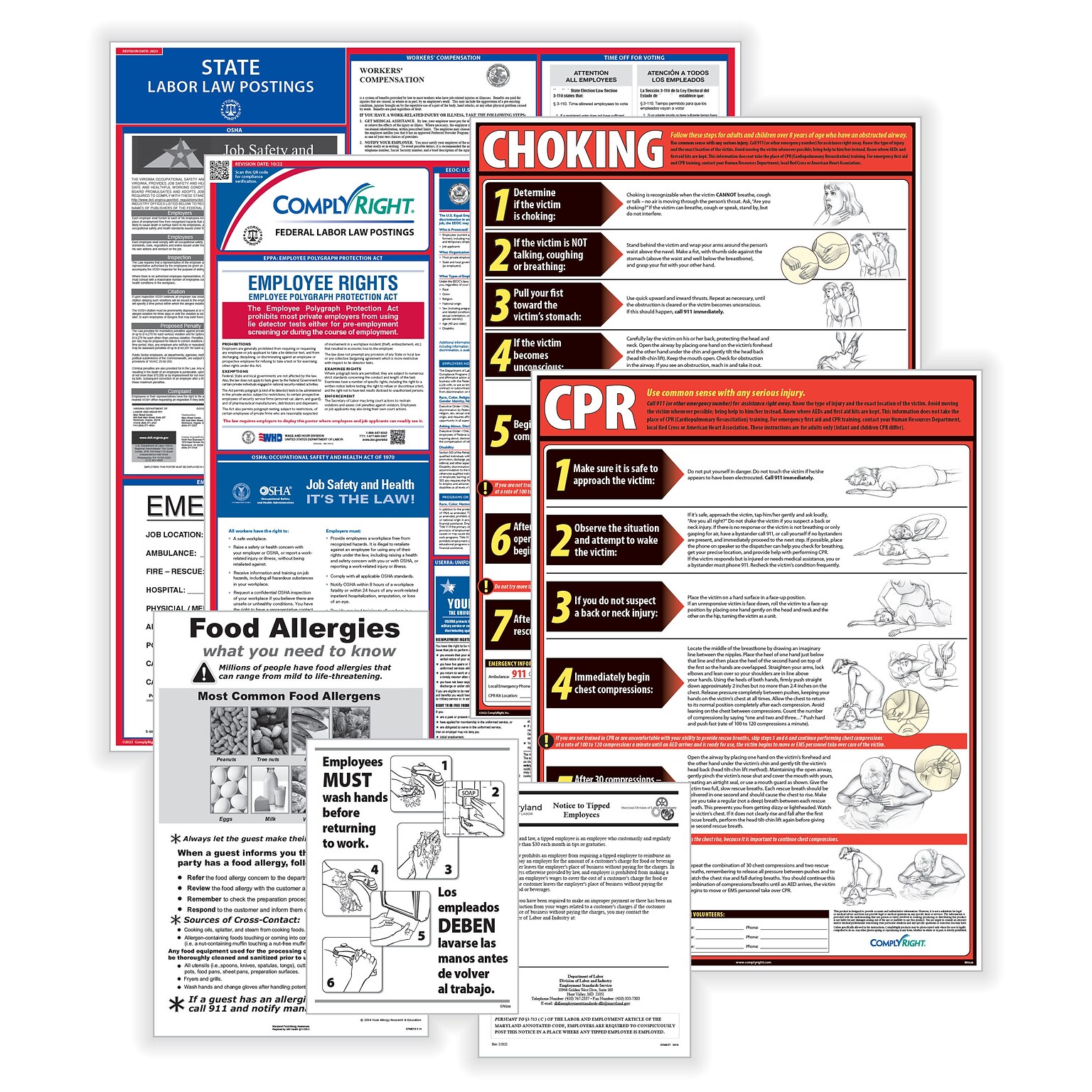 ComplyRight Federal, State and Restaurant (English) Labor Law Poster Set, Wisconsin (E50WIREST)