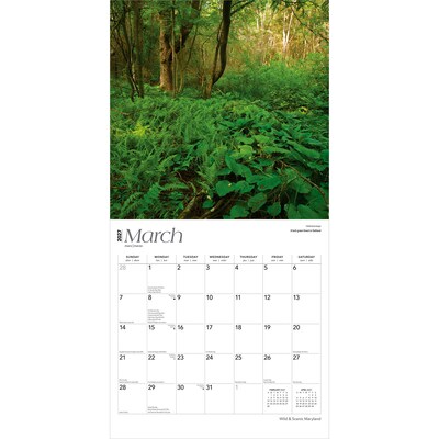 2027 BrownTrout Maryland Wild & Scenic 12" x 12" Monthly Wall Calendar (9798330714353)