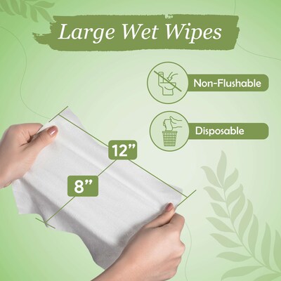 ProHeal Incontinence Wet Wipes for Adults, Fragrance-Free, 12 x 8, 56 Wipes/Pack, 6 Packs (PH-1624
