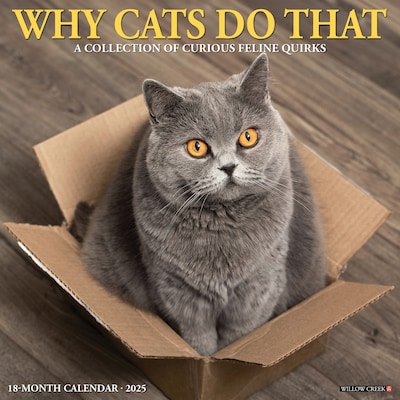 2025 Willow Creek Why Cats Do That 12 x 12 Monthly Wall Calendar (45435)