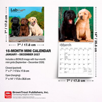 2027 BrownTrout Lab Puppies 7" x 7" Monthly Wall Calendar (9798330710027)