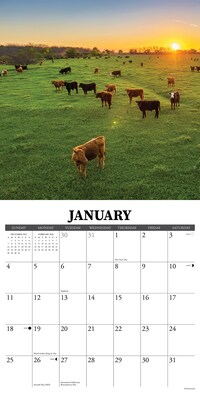 2026 Willow Creek Farms 12" x 12" Monthly Wall Calendar (51115)