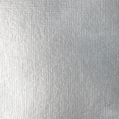 Liquitex BASICS Acrylic Paint Tube, Silver, 250 mL (LIQ4385052)