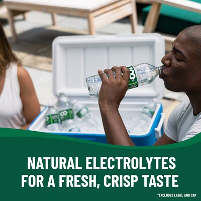 Poland Spring 100% Natural Spring Water, Regular Flavor, 16.9 oz., 24/Carton (12119419)