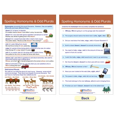 NewPath Learning Spelling Rules Bulletin Board Chart Set, 12" x 18", 7/Set (NP-923501)