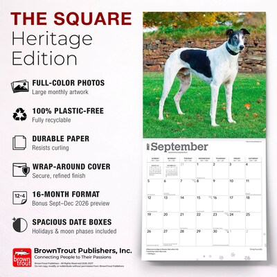 2027 BrownTrout Greyhounds 12" x 12" Monthly Wall Calendar (9798330712502)
