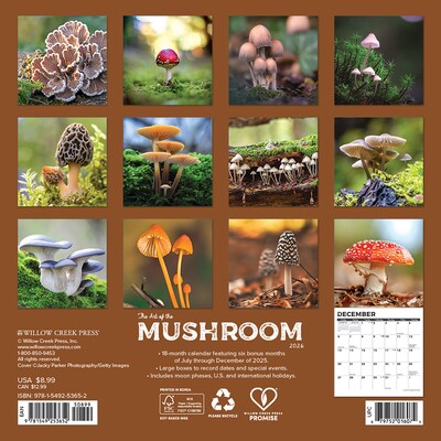 2026 Willow Creek Mushrooms 7 x 7 Monthly Wall Calendar (53652)