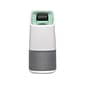 GreenTech Environmental Active HEPA+ with ODOGard Pro Air Purifier, 5-Speed, Wi-Fi Enabled, White/Gray (1X5826)