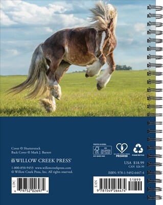 2027 Willow Creek What Horses Teach Us 6.5 x 8.5 Weekly & Monthly Desk Calendar (64474)