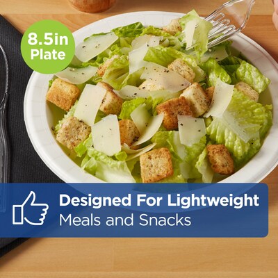 Dixie Basic 8.5" Paper Plates, White, 500/Carton (DBP09WCT)