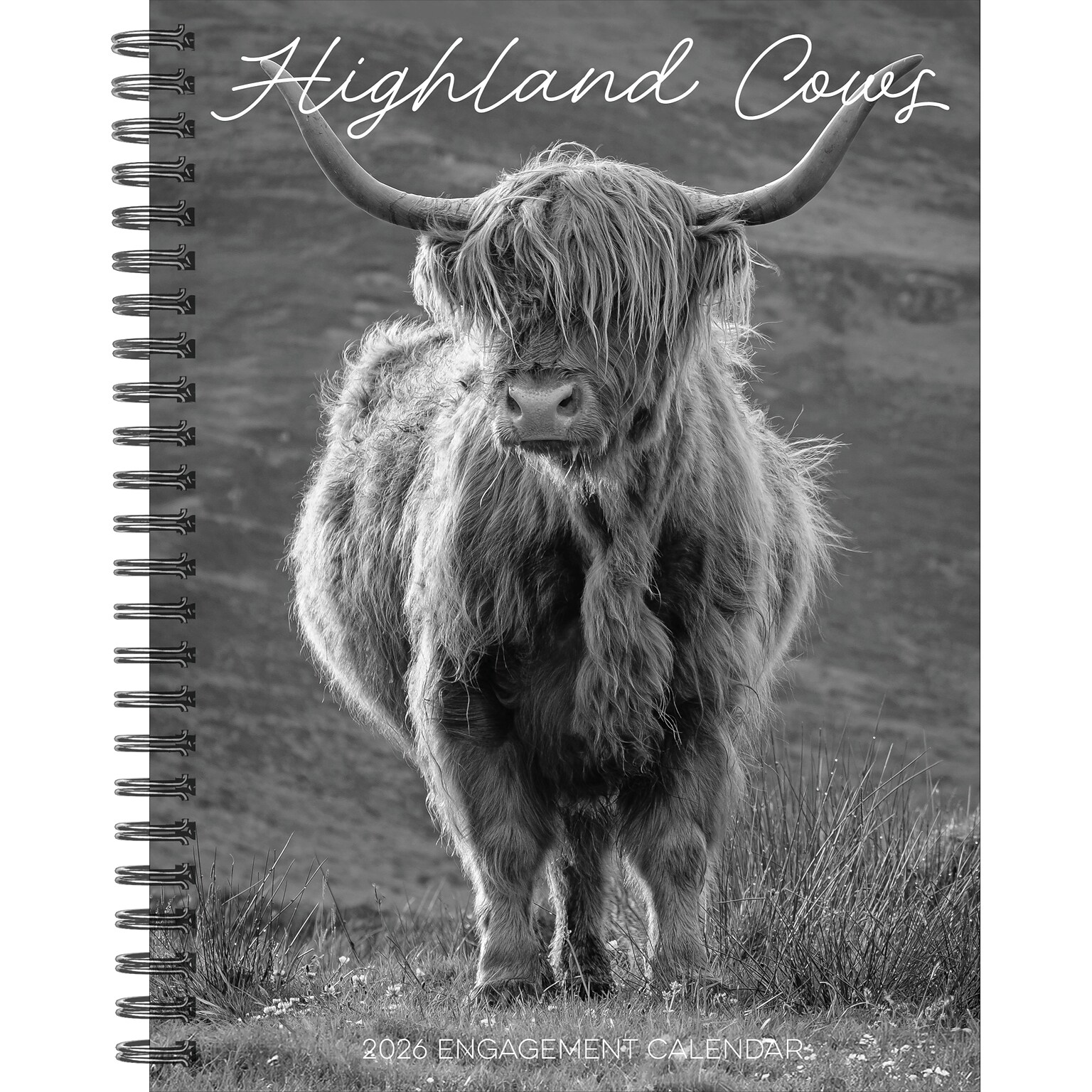 2026 Willow Creek Highland Cows 6.5 x 8.5 Daily & Monthly Personal Organizer (58480)