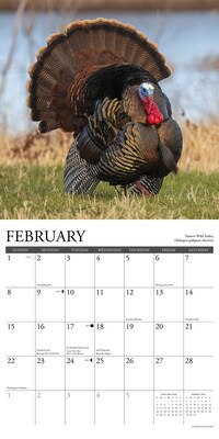2026 Willow Creek Northwoods Wildlife 12" x 12" Monthly Wall Calendar (52204)