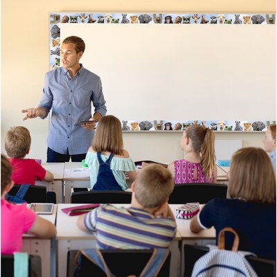 Teacher Created Resources Go Wild Animals Straight Border Trim, 3" x 2.92', Multicolor, 6 Packs/Bundle (TCR6848-6)