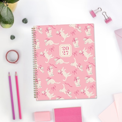 2027 Blue Sky 8.5" x 11" Weekly & Monthly Planner, Pink (164032)