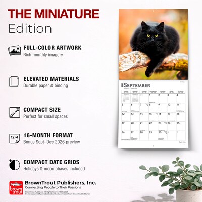 2027 BrownTrout Black Cats 7" x 7" Monthly Wall Calendar, Assorted Colors (9798330709700)