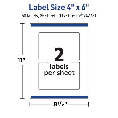 Avery Laser/Inkjet Multipurpose Labels, White, 2 Labels/Sheet, 25 Sheets/Pack (94278-TWMP25)