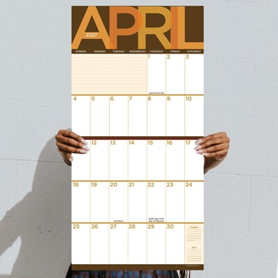 2027 TF Publishing Big Print 12" x 12" Monthly Wall Calendar, Multicolored (27-1104)