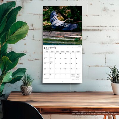 2026 BrownTrout North Carolina Wild & Scenic 12" x 12" Monthly Wall Calendar (9798330704910)